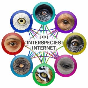Interspecies Internet: IA animal