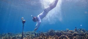 Sonidos del océano: tecnología para salvar los arrecifes de coral